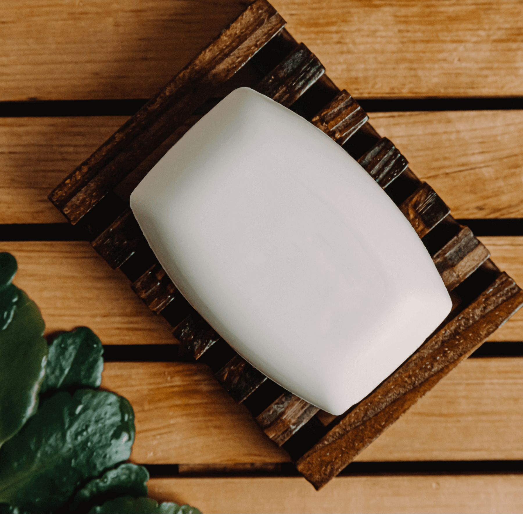(Fresh) Coconut Bar Soap